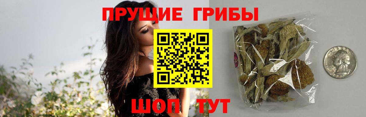 Карачаевск  Псилоцибиновые грибы ЛСД  Вход с VPN  Псилоцибиновые грибы прущие грибы 